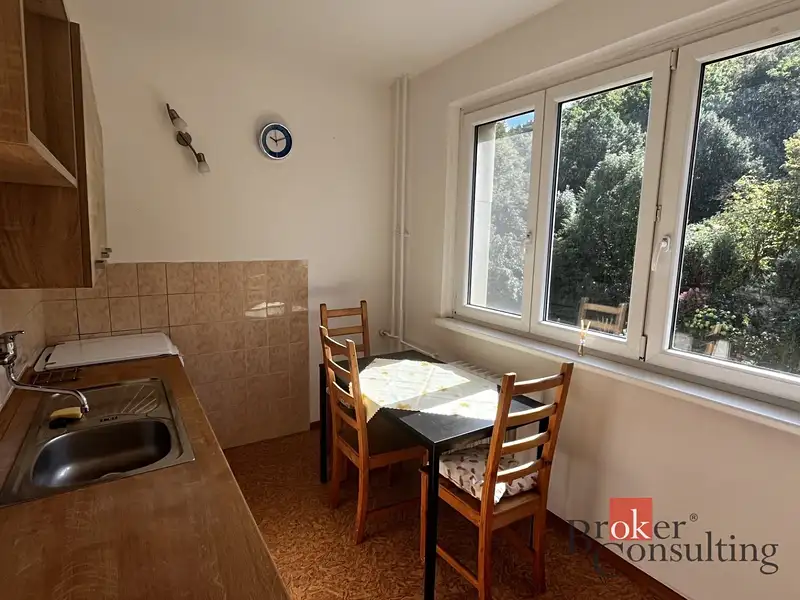 Pronájem bytu 1+1 35 m², Karlovy Vary – náhled fotky 2