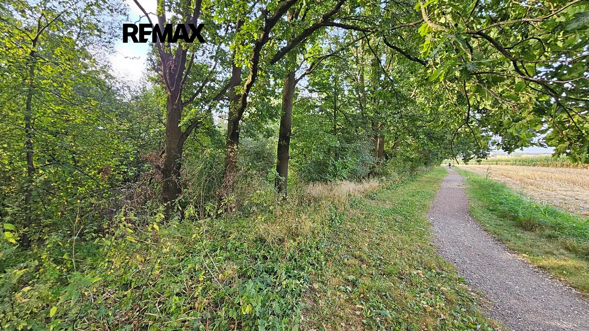 Prodej zahrady 2997 m²