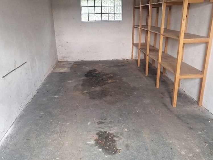 Pronájem nemovitosti, 19 m² (4 z 7)