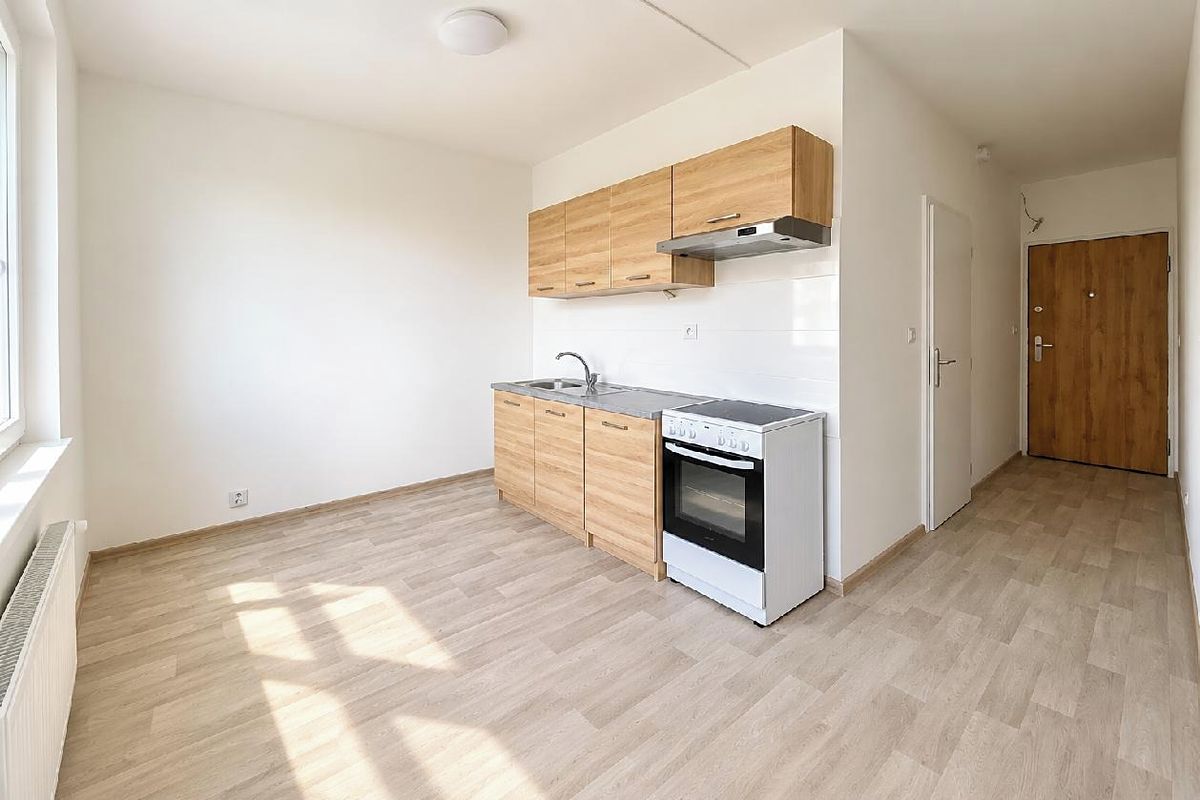 Pronájem bytu 1+1 35 m²