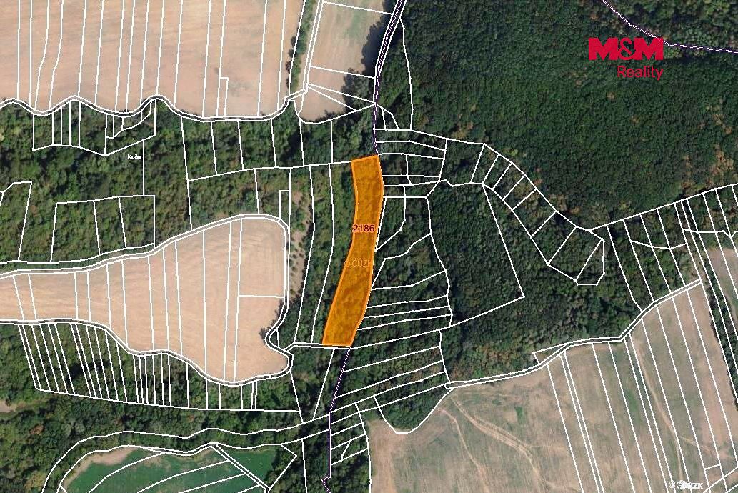 Prodej pozemku 5685 m² – fotografie 3
