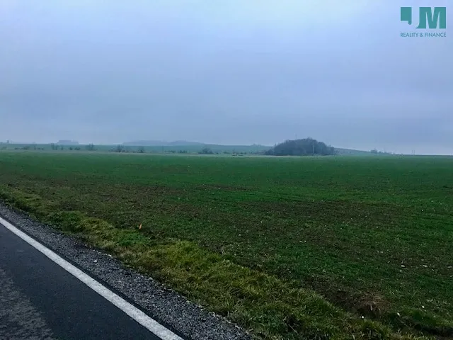 Fotka 11 z 14