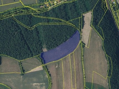 Grundstück zum Kauf, 44.747 m² (3 von 6)