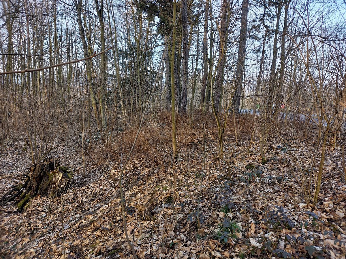Prodej pozemku 2342 m² – fotografie 3