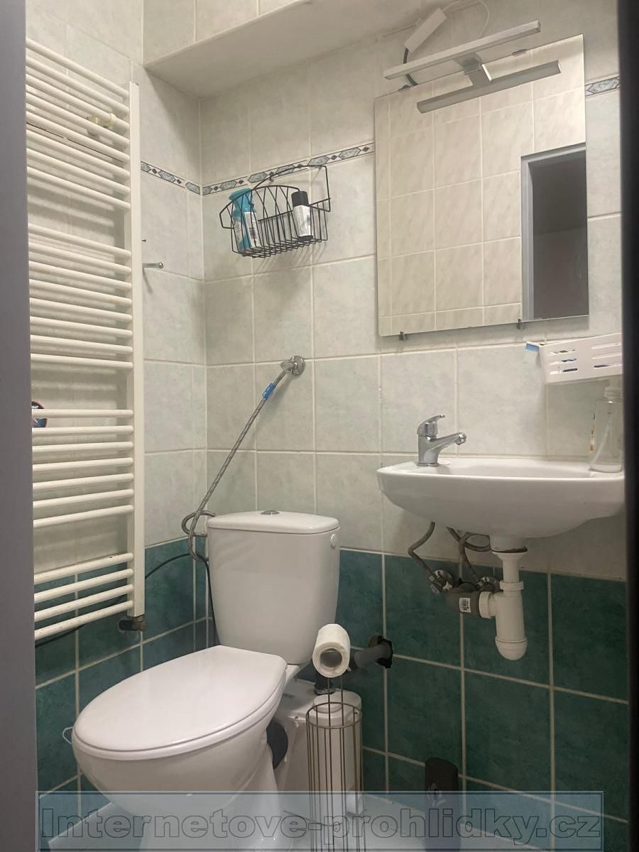 Pronájem bytu pokoje 16 m²