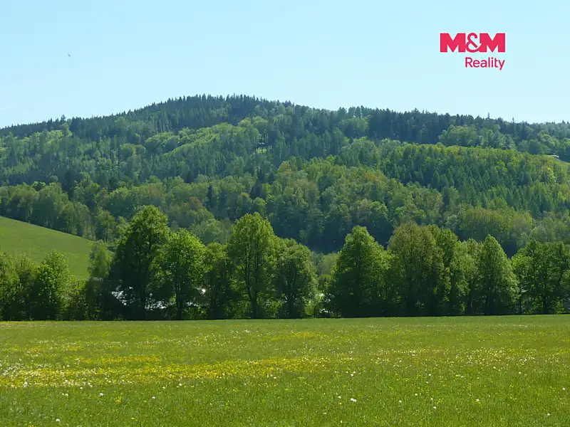 Prodej louky 20490 m², Náchod – náhled fotky 2