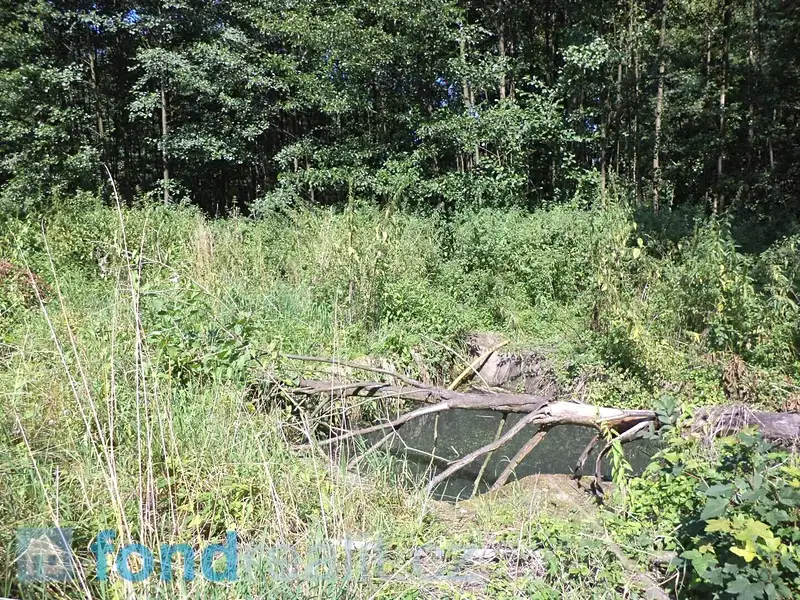 Prodej pozemku 2566 m², Stonava – náhled fotky 3