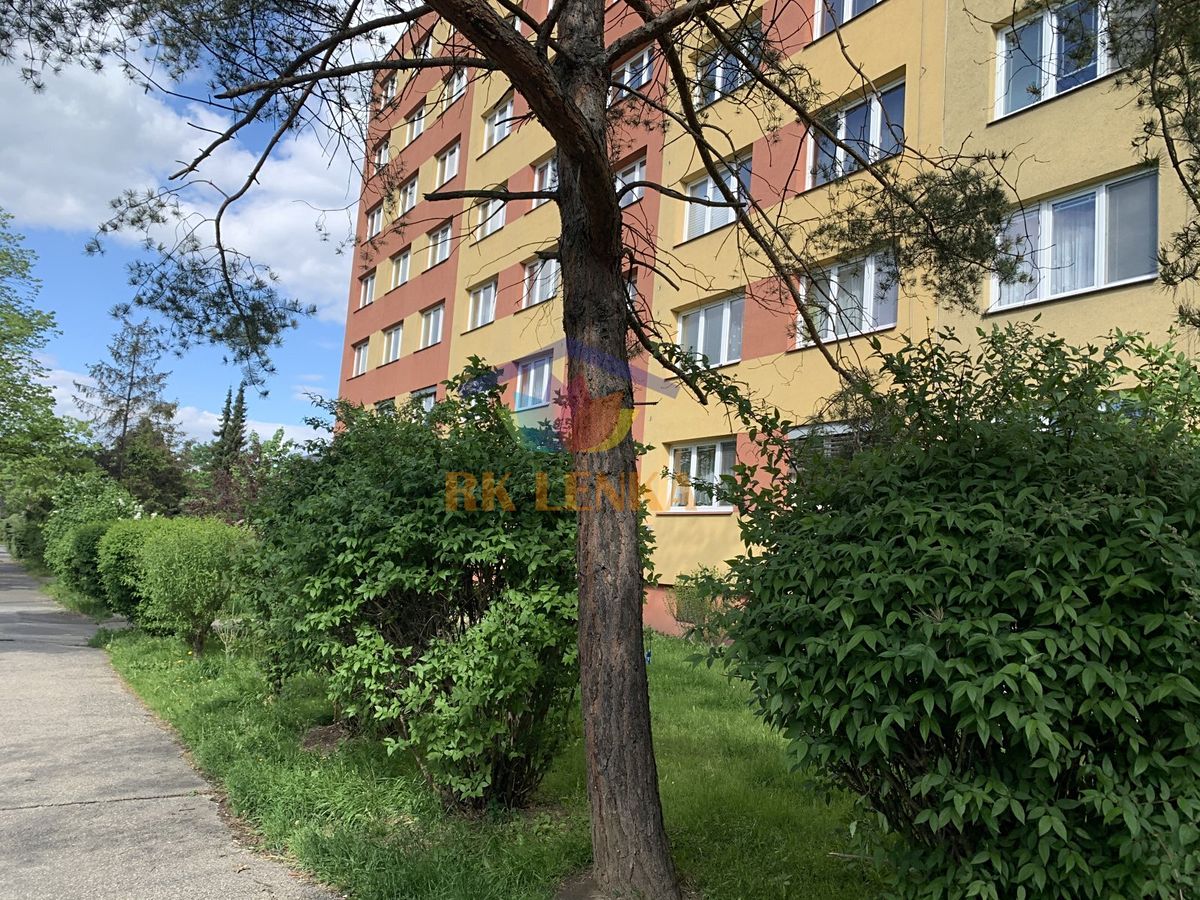 Pronájem bytu 1+1 39 m²