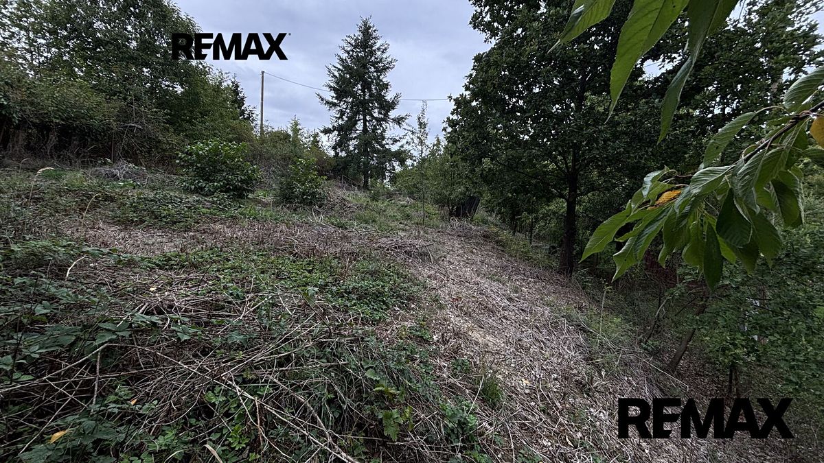 Prodej stavebního pozemku 1335 m² – fotografie 3