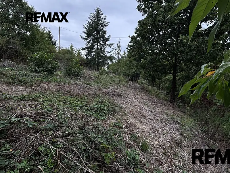 Prodej stavebního pozemku 1335 m², Plumlov – náhled fotky 3
