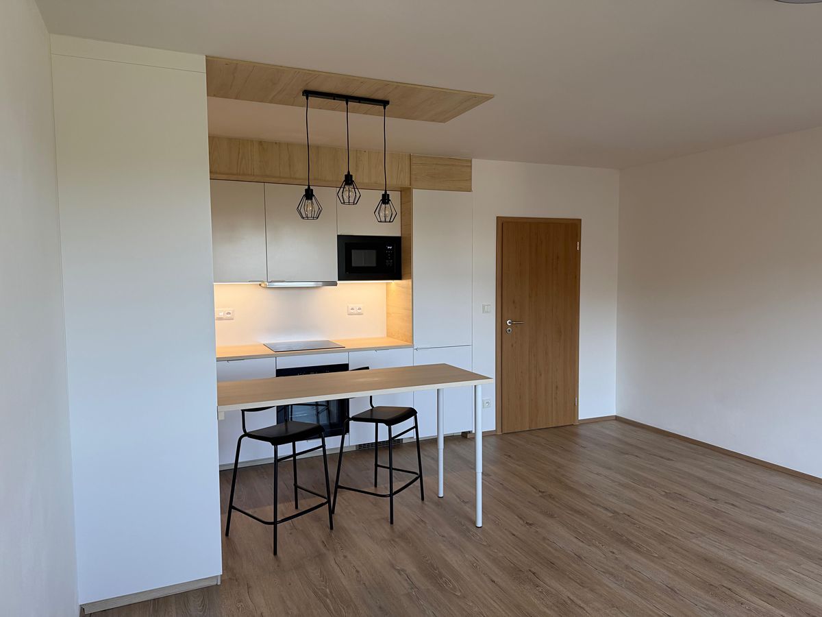Pronájem bytu 1+kk 36 m² – fotografie 2