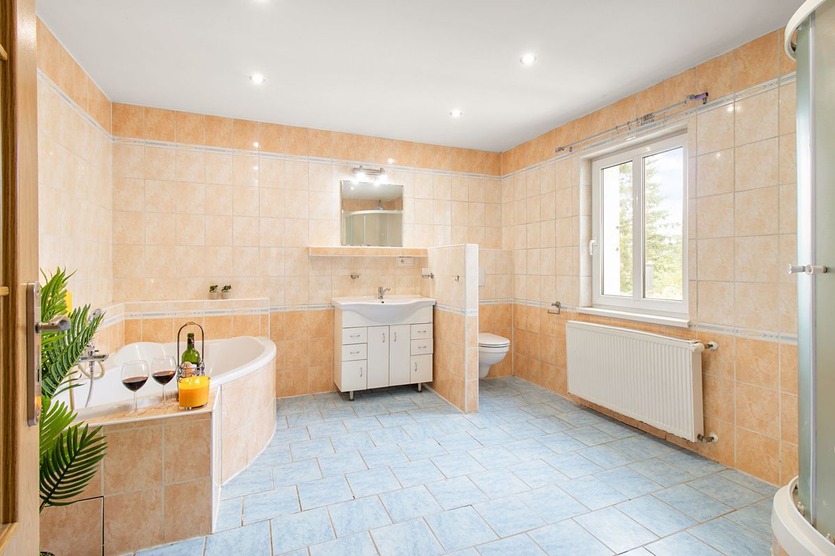 Prodej rodinného domu 360 m², pozemek 2349 m² – fotografie 4