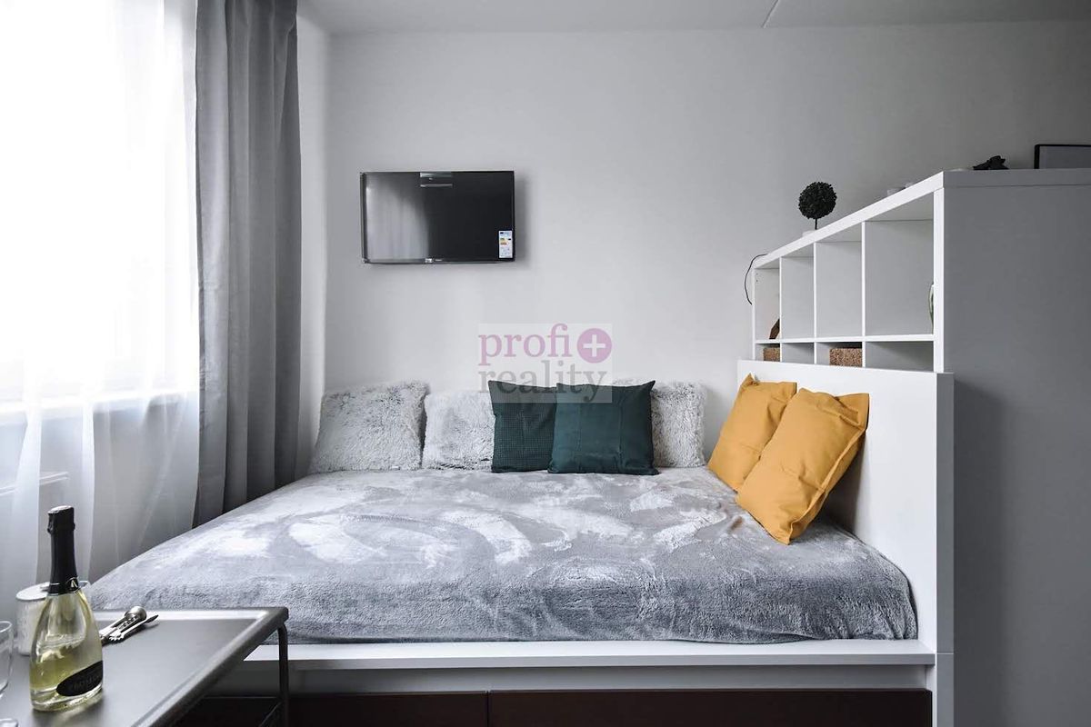 Pronájem bytu 1+kk 25 m²