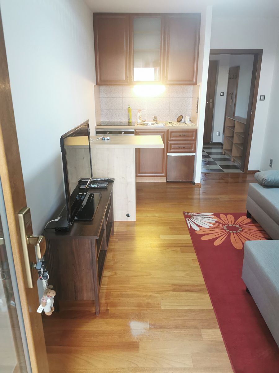Pronájem bytu 1+kk 25 m² – fotografie 2