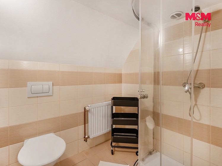 Prodej komerčního prostoru, 300 m² (13 z 30)