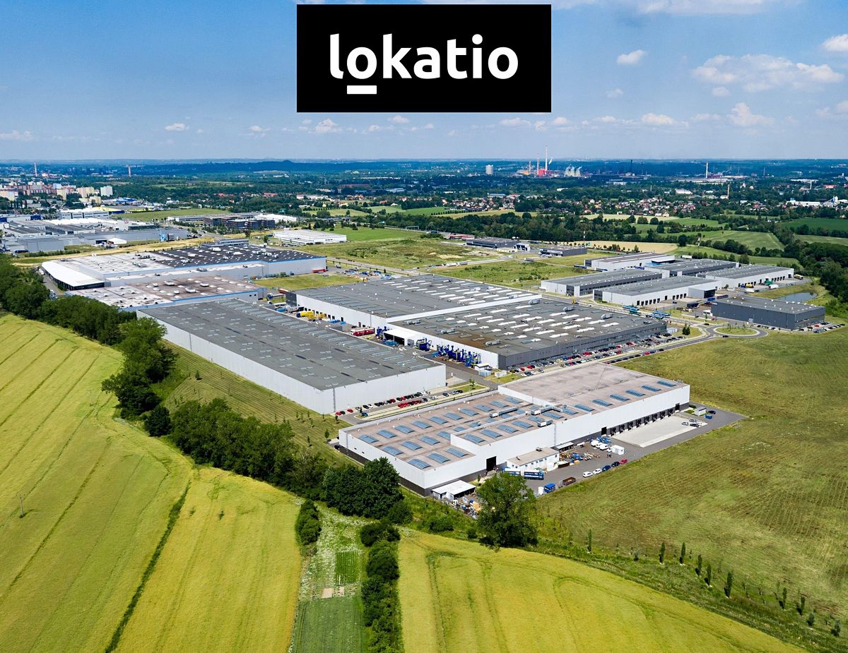 Pronájem skladového prostoru 4028 m² – fotografie 5