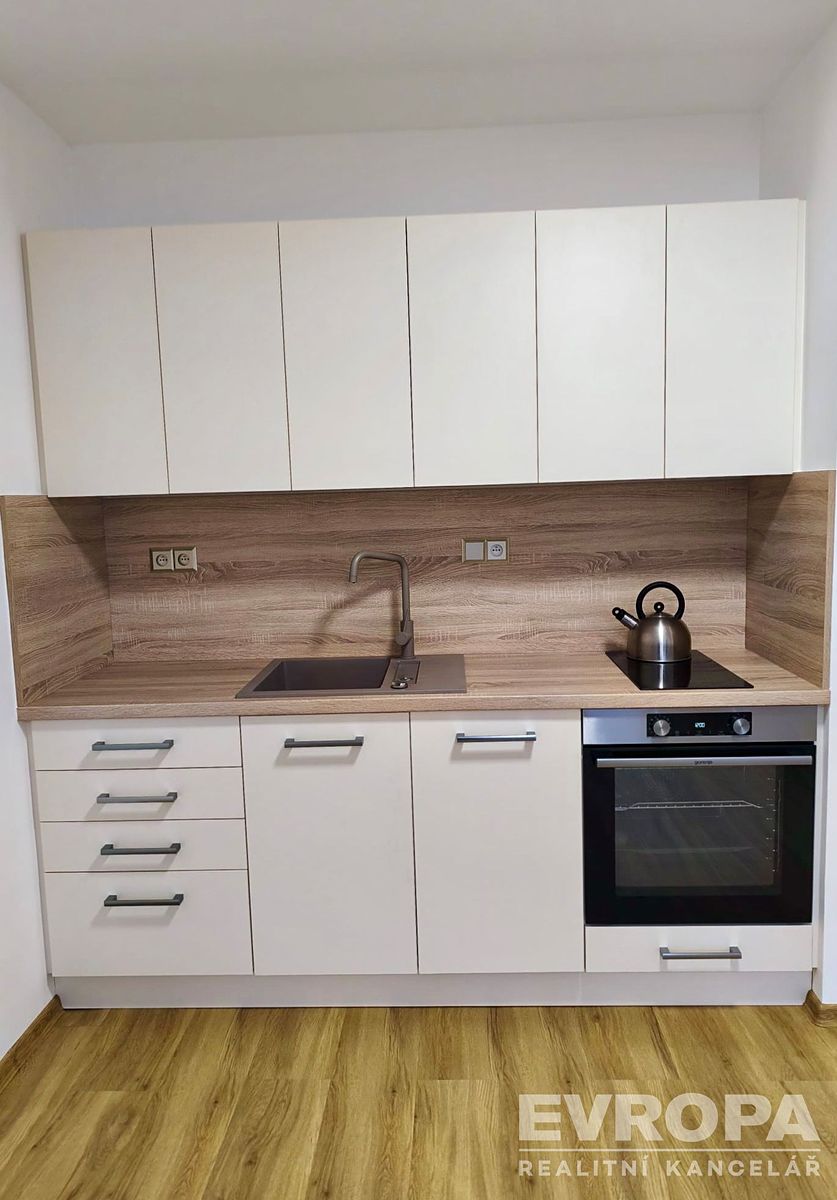 Pronájem bytu 1+kk 39 m² – fotografie 3