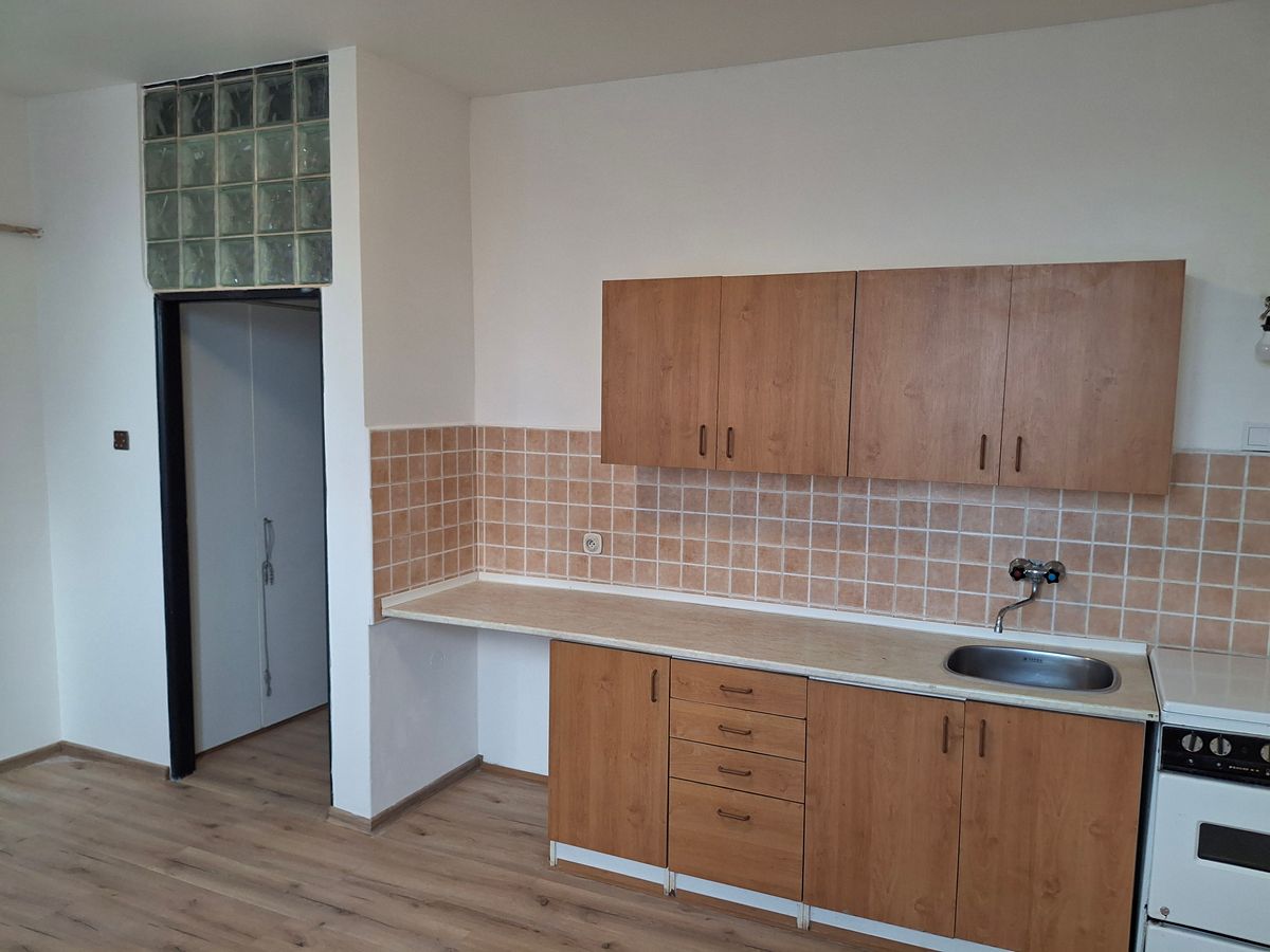 Pronájem bytu 1+kk 30 m² – fotografie 3
