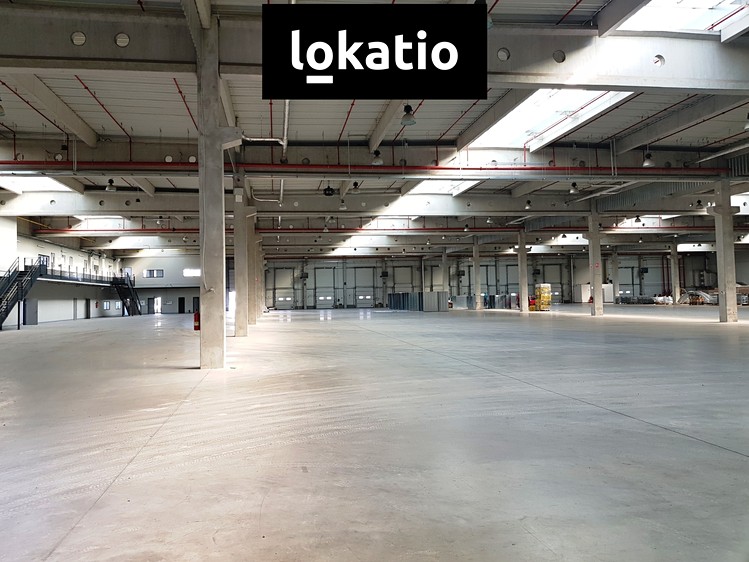 Ostatní