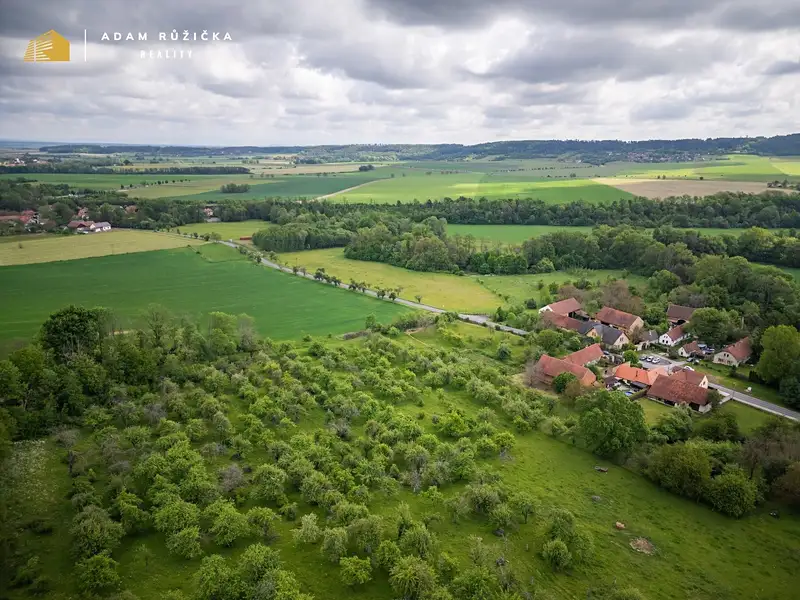 Prodej zemědělské usedlosti 480 m², pozemek 4579 m², Luže – náhled fotky 3