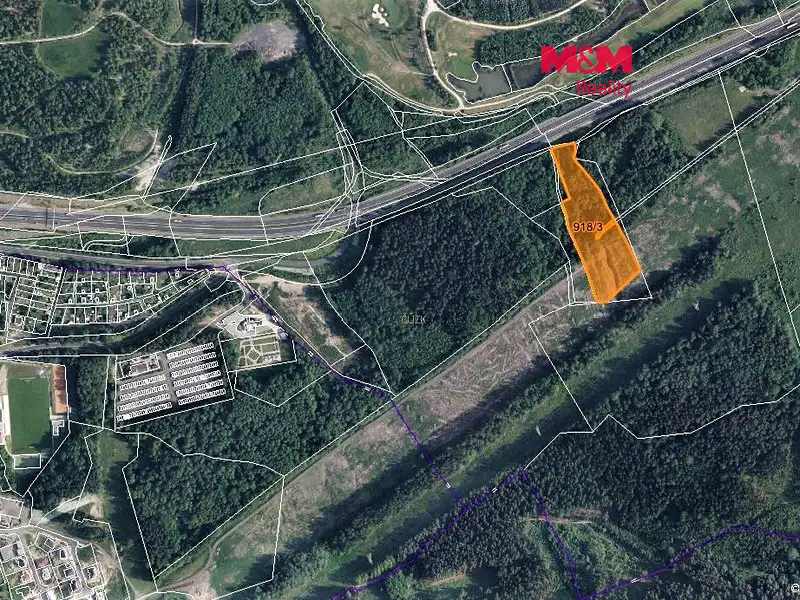 Prodej lesa 13827 m², Dolní Rychnov – náhled fotky 1