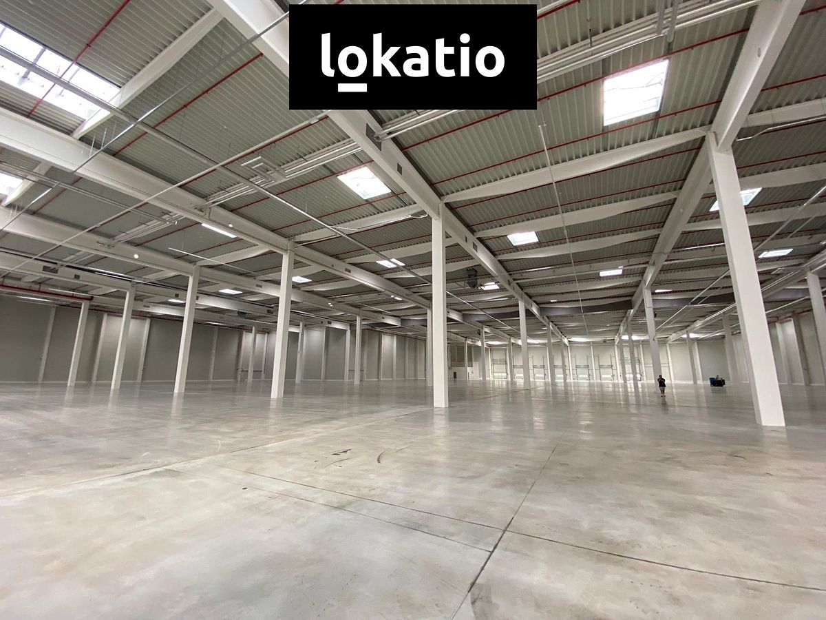 Pronájem skladového prostoru 2900 m² – fotografie 2