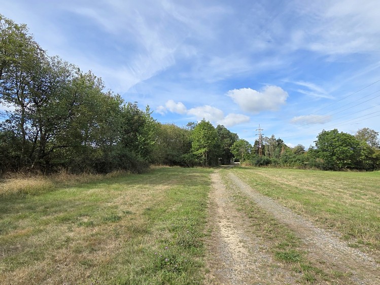 Grundstück zum Kauf, 14.793 m² (7 von 15)