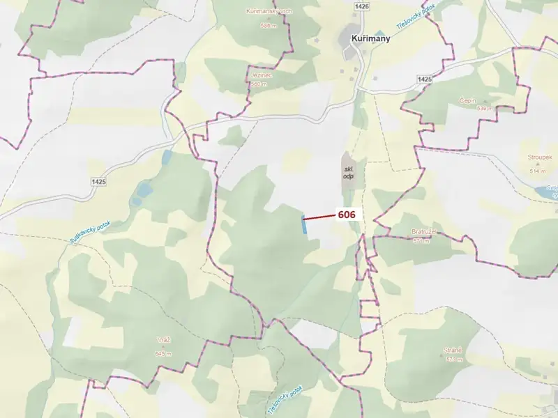 Dražba lesa 2526 m², Kuřimany – náhled fotky 1