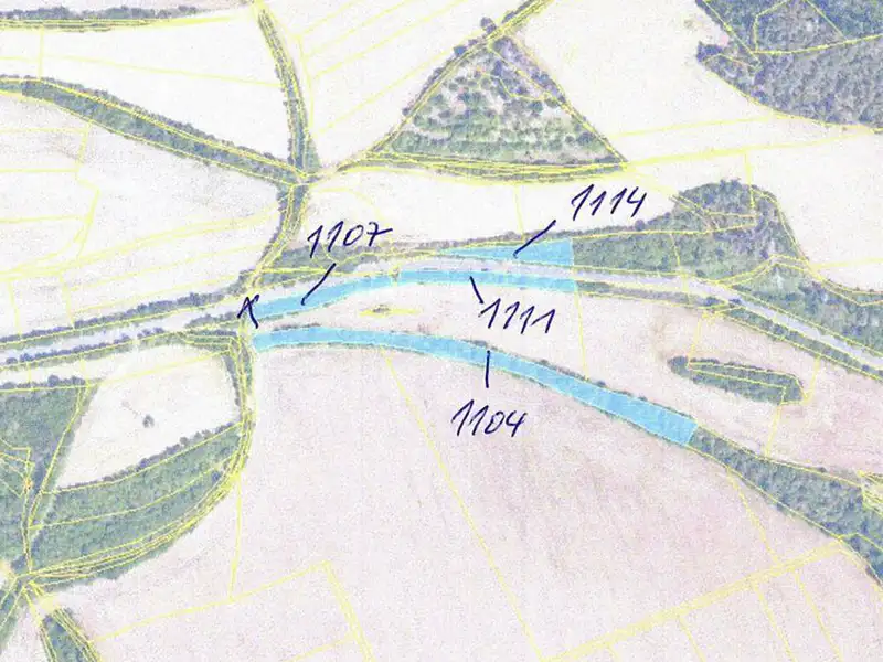Dražba pozemku 6533 m², Třebichovice – náhled fotky 1