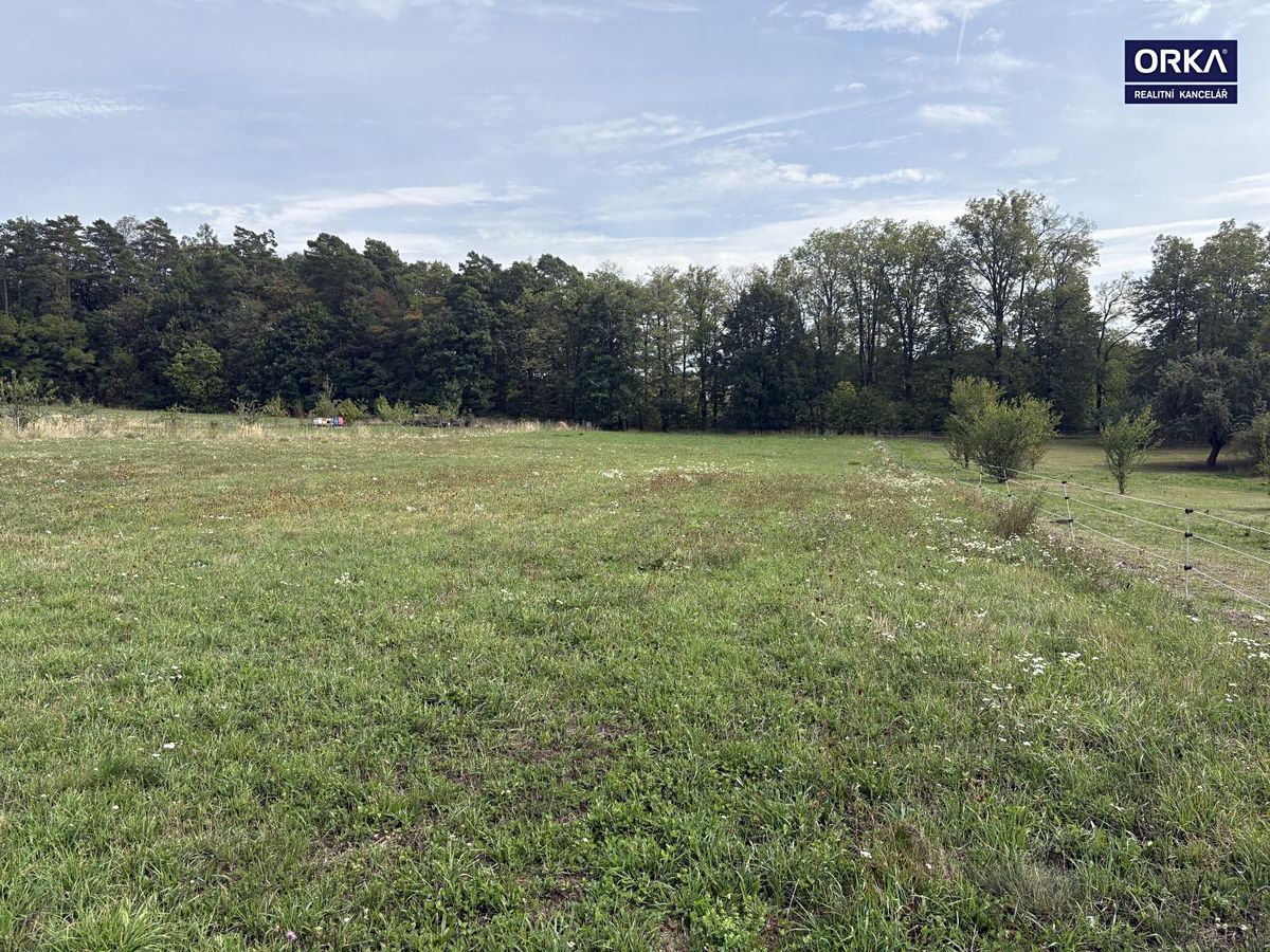 Prodej pole 1815 m² – fotografie 3