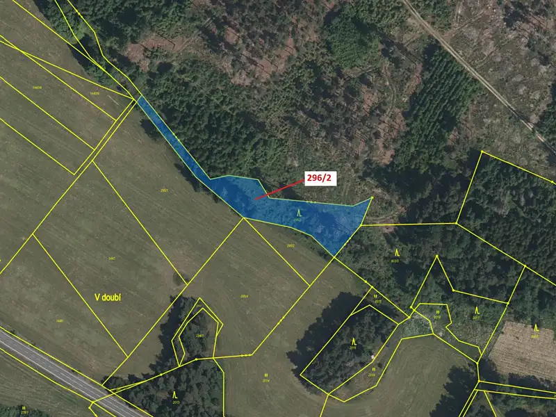 Dražba lesa 2508 m², Český Rudolec – náhled fotky 2