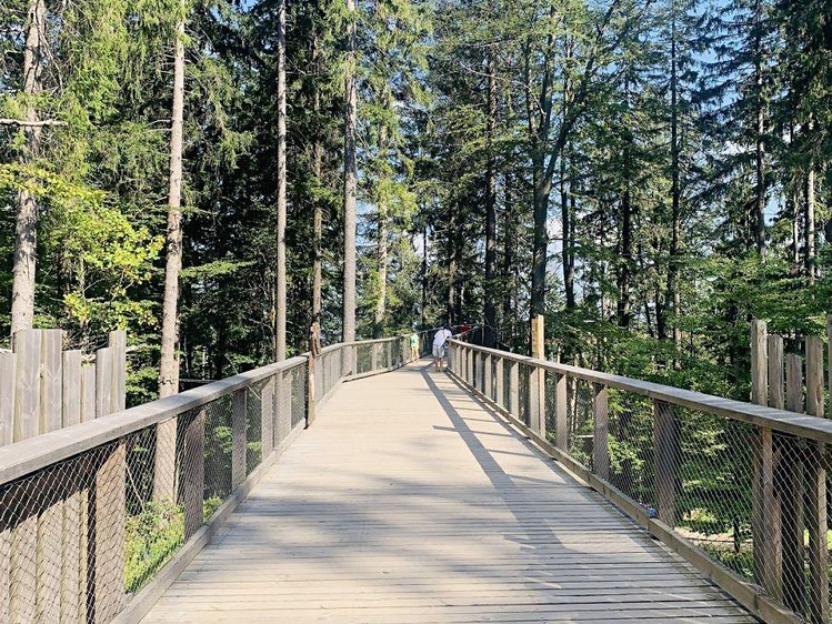 Prodej komerčního prostoru, 82 m² (12 z 20)