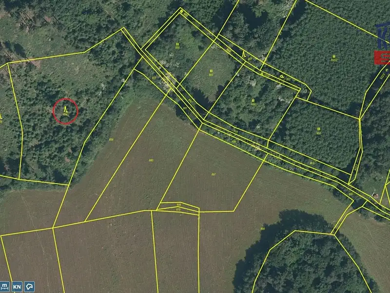 Prodej lesa 6402 m², Oselce – náhled fotky 2