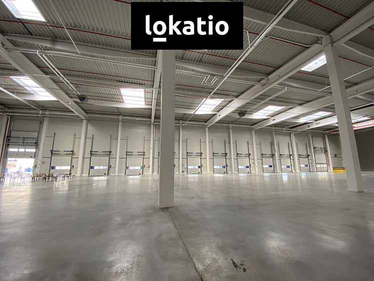 Gewerbefläche zur Miete, 2.900 m² (4 von 10)