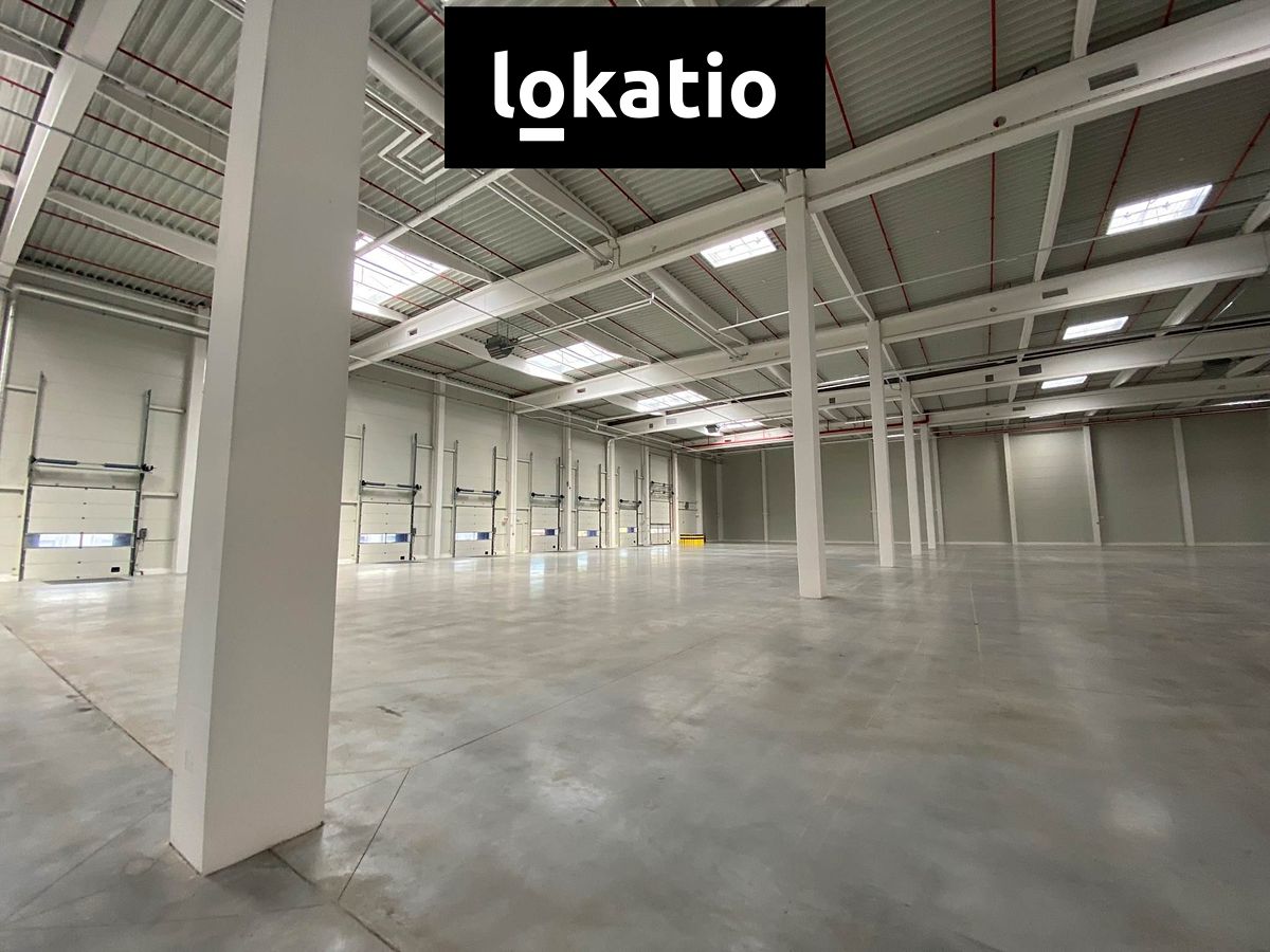 Pronájem skladového prostoru 2000 m² – fotografie 3