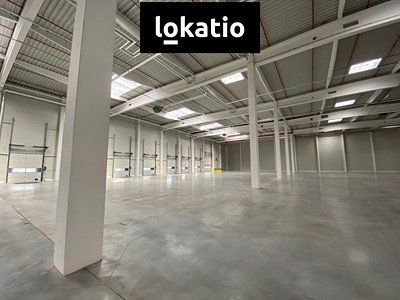 Pronájem komerčního prostoru, 2 000 m² (3 z 6)