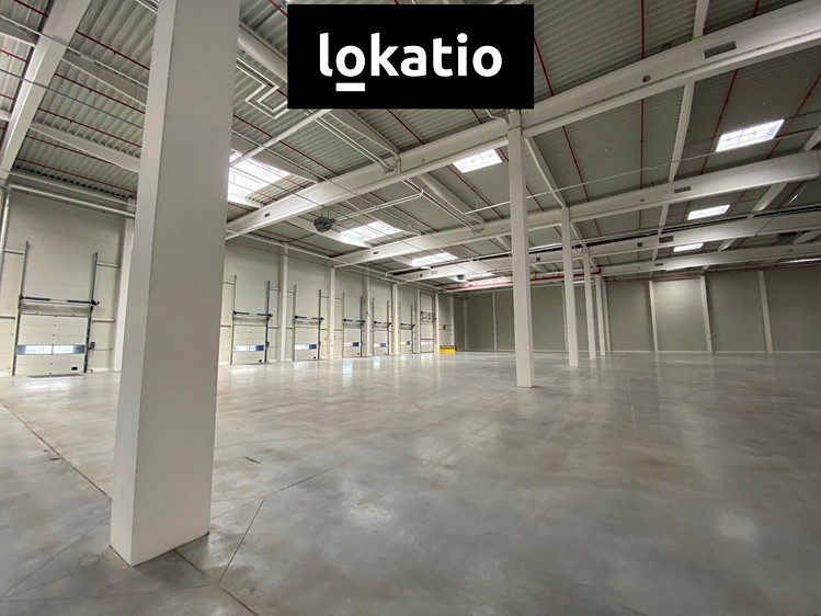 Pronájem komerčního prostoru, 2 000 m² (3 z 6)