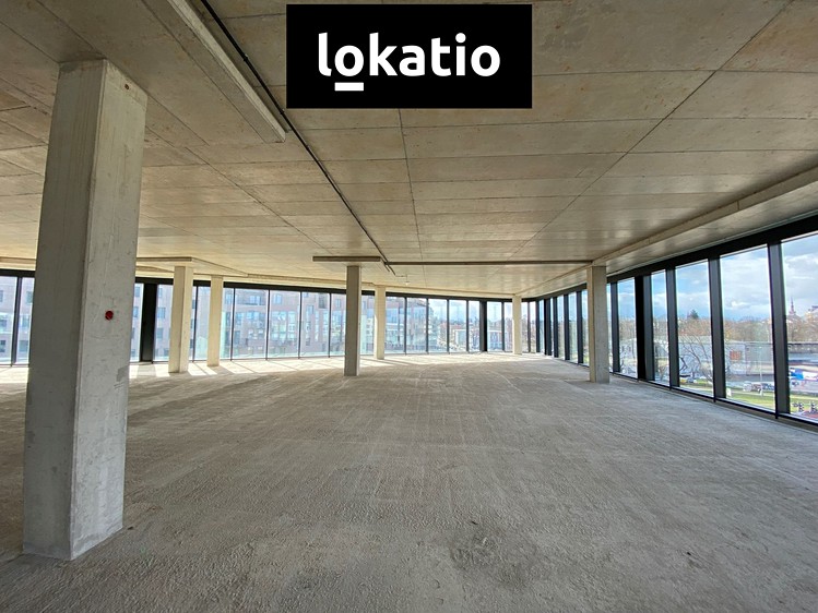 Pronájem komerčního prostoru, 240 m² (2 z 7)