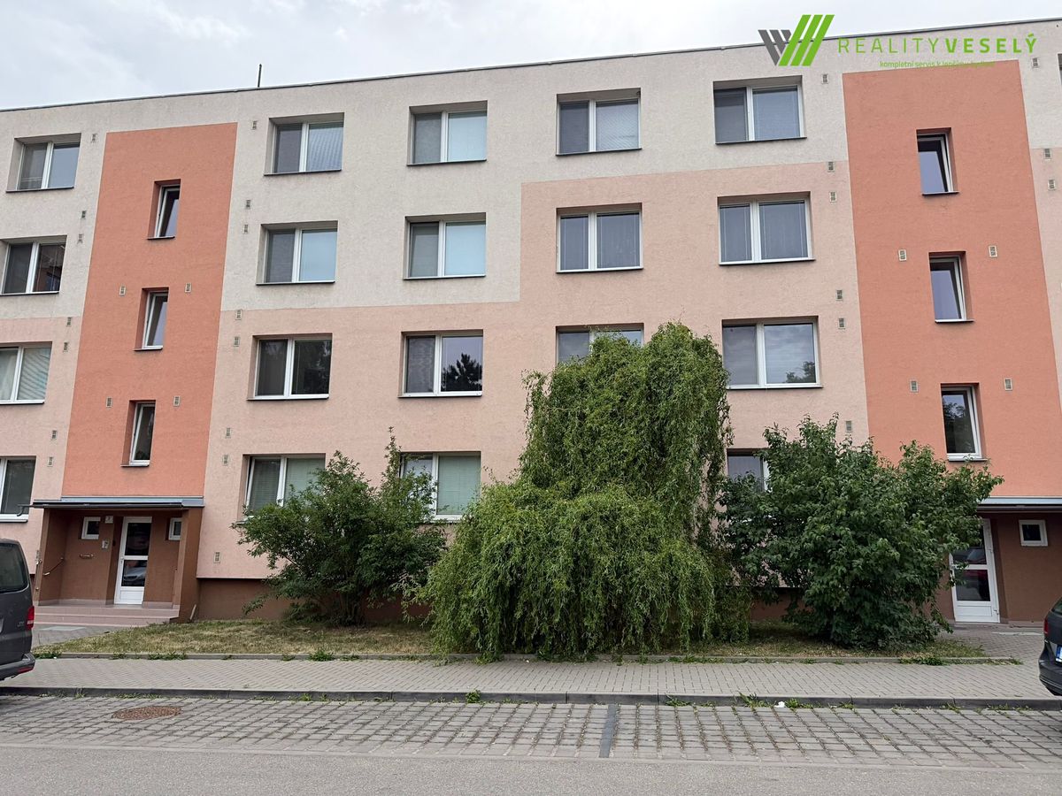 Pronájem bytu 3+1 74 m²