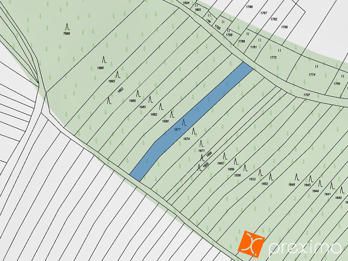 Prodej lesa 766 m² – fotografie 3