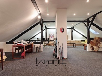 Gewerbefläche zum Kauf, 225 m² (2 von 28)