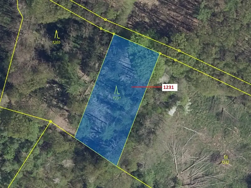 Dražba lesa 1462 m², Stebno – náhled fotky 2