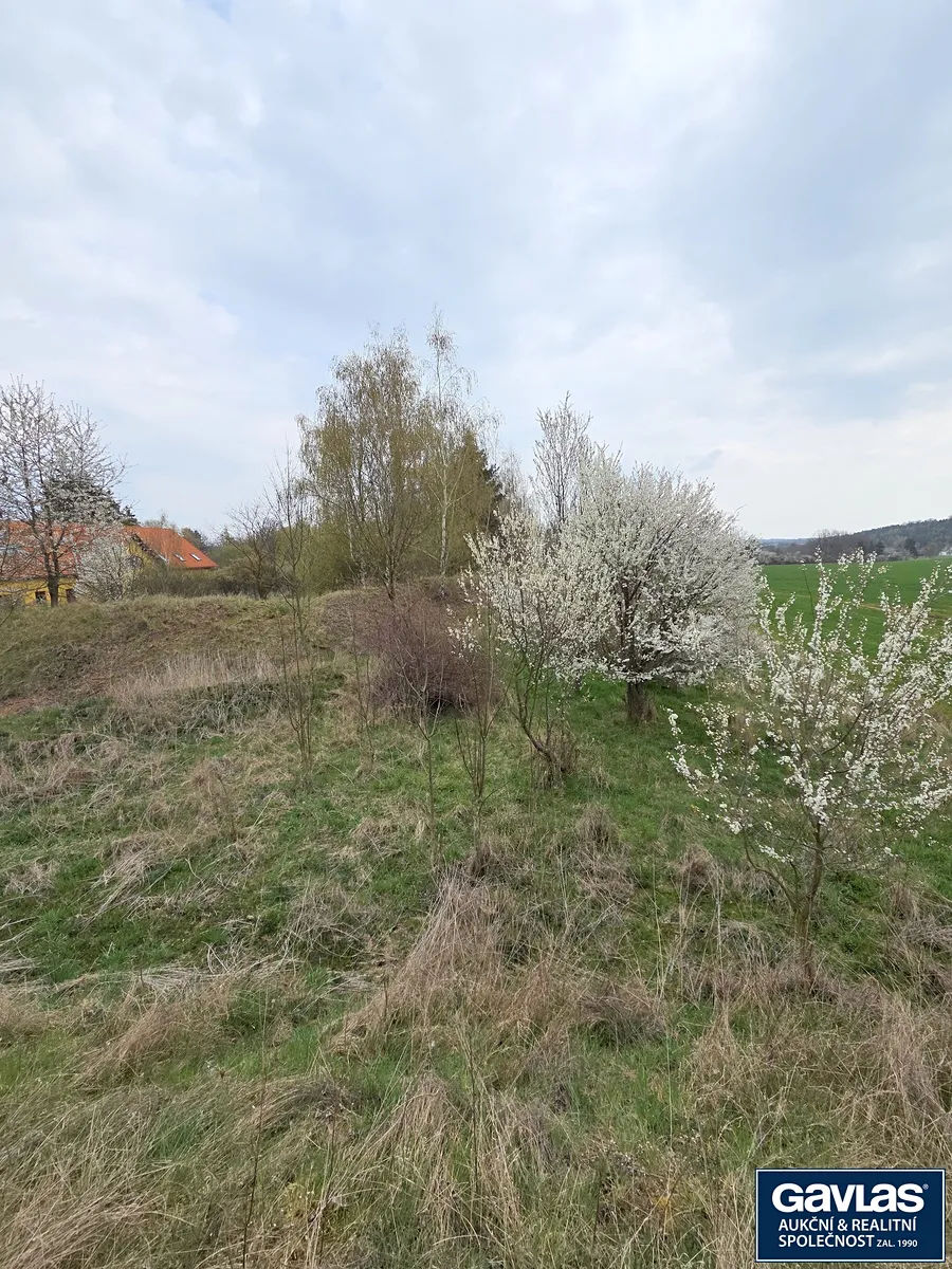 Fotka 14 z 15