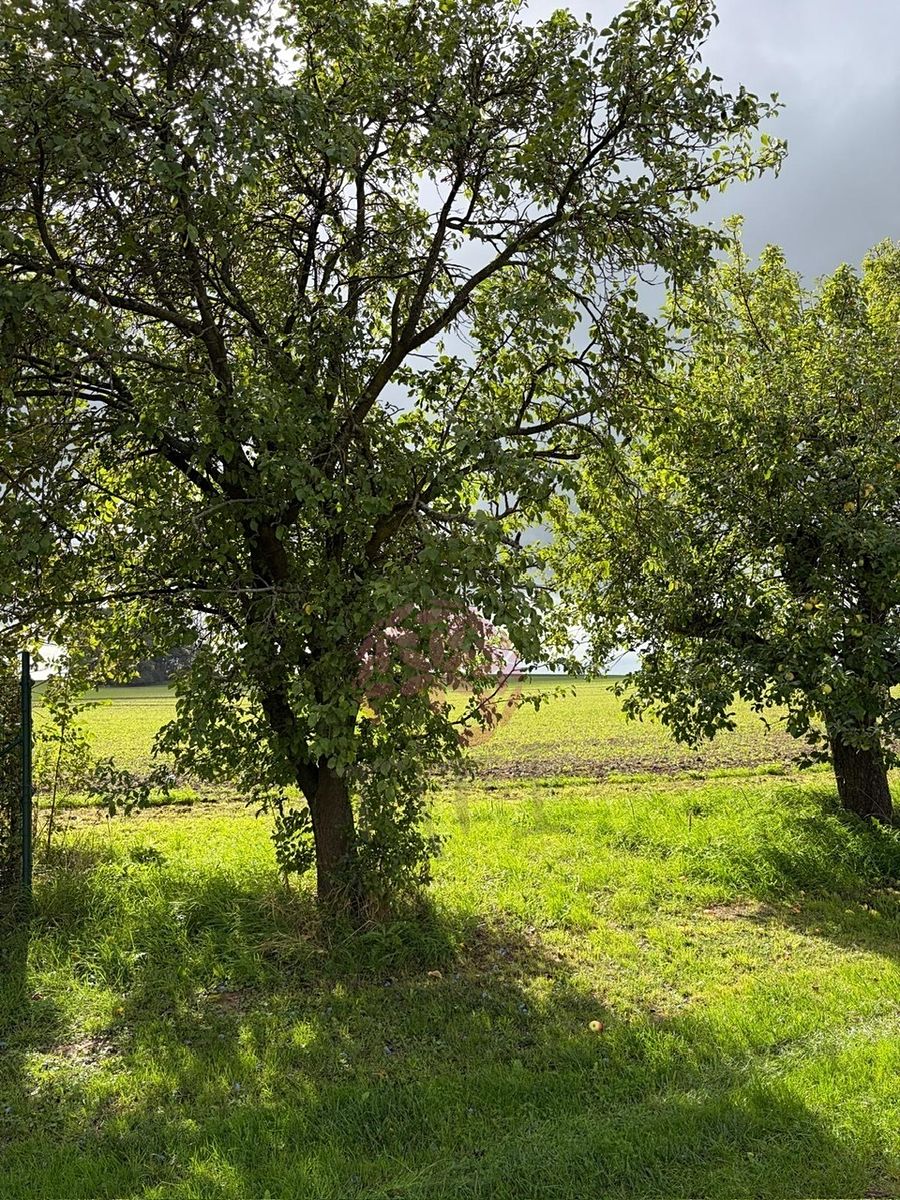 Prodej stavebního pozemku 8252 m² – fotografie 2