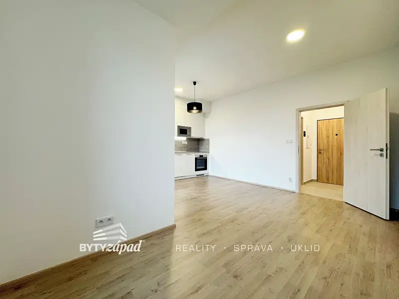 Pronájem bytu 1+kk 30 m², Plzeň – náhled fotky 3