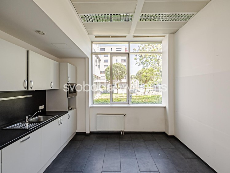 Pronájem komerčního prostoru, 326 m² (2 z 5)