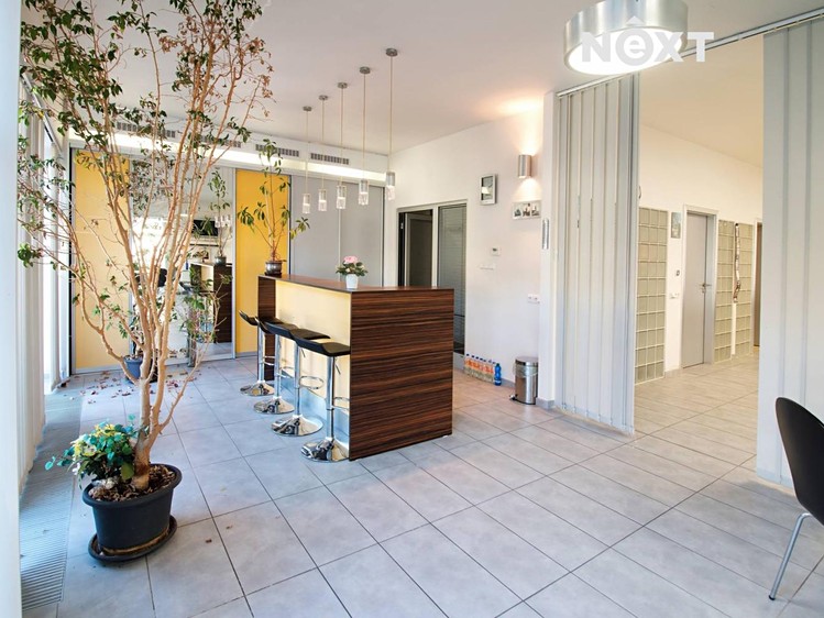Gewerbefläche zur Miete, 195 m² (3 von 15)