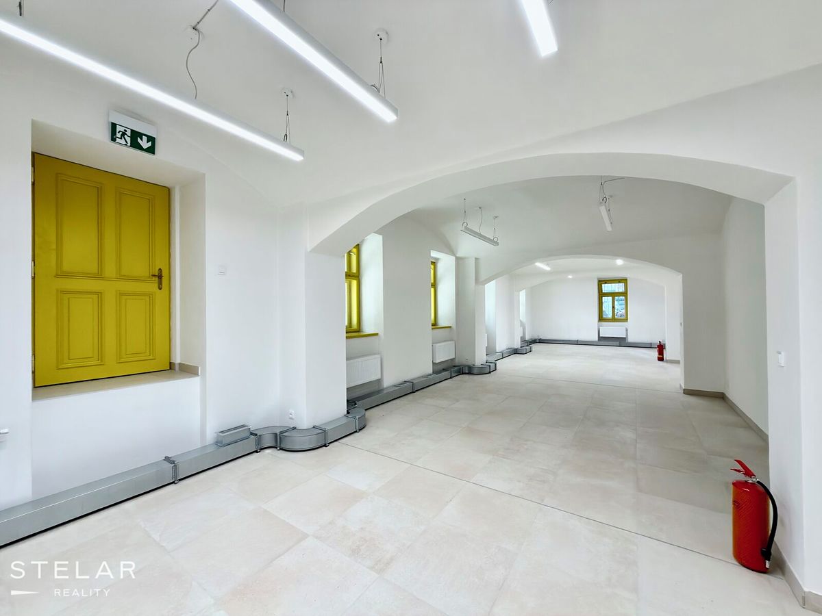 Pronájem obchodního prostoru 137 m² – fotografie 4