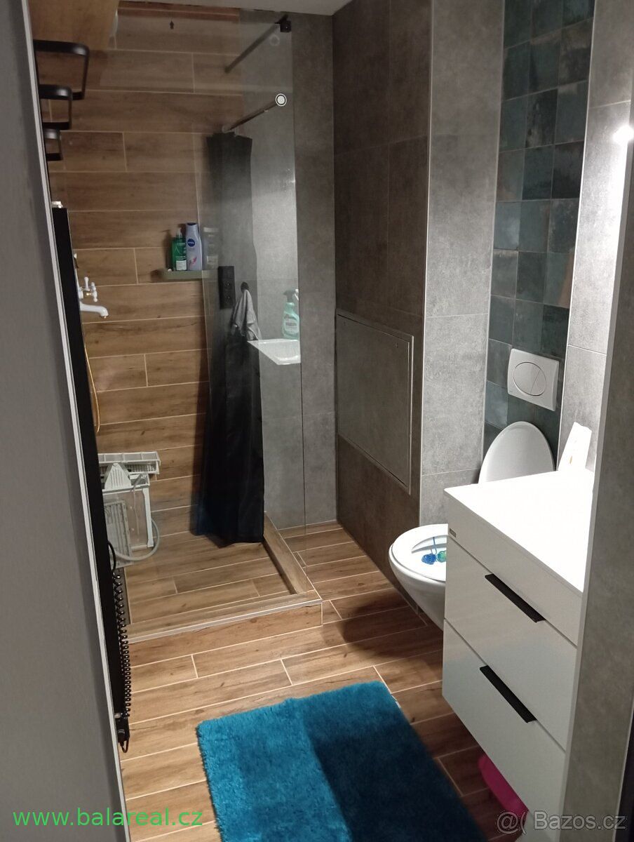 Pronájem bytu 1+1 40 m² – fotografie 3