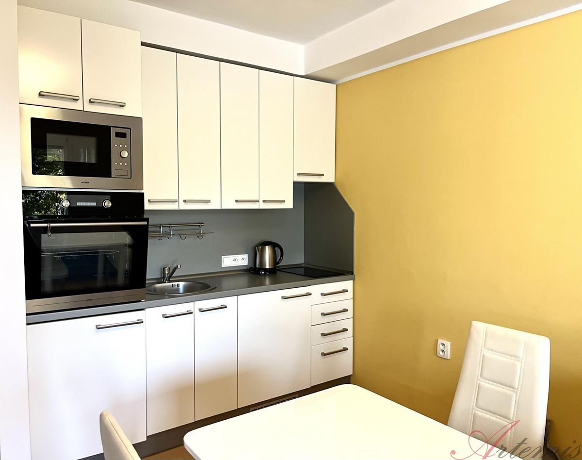 Pronájem bytu 1+kk 29 m² – fotografie 2